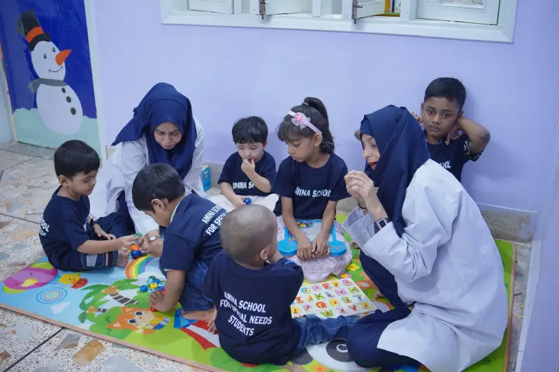 Amina School